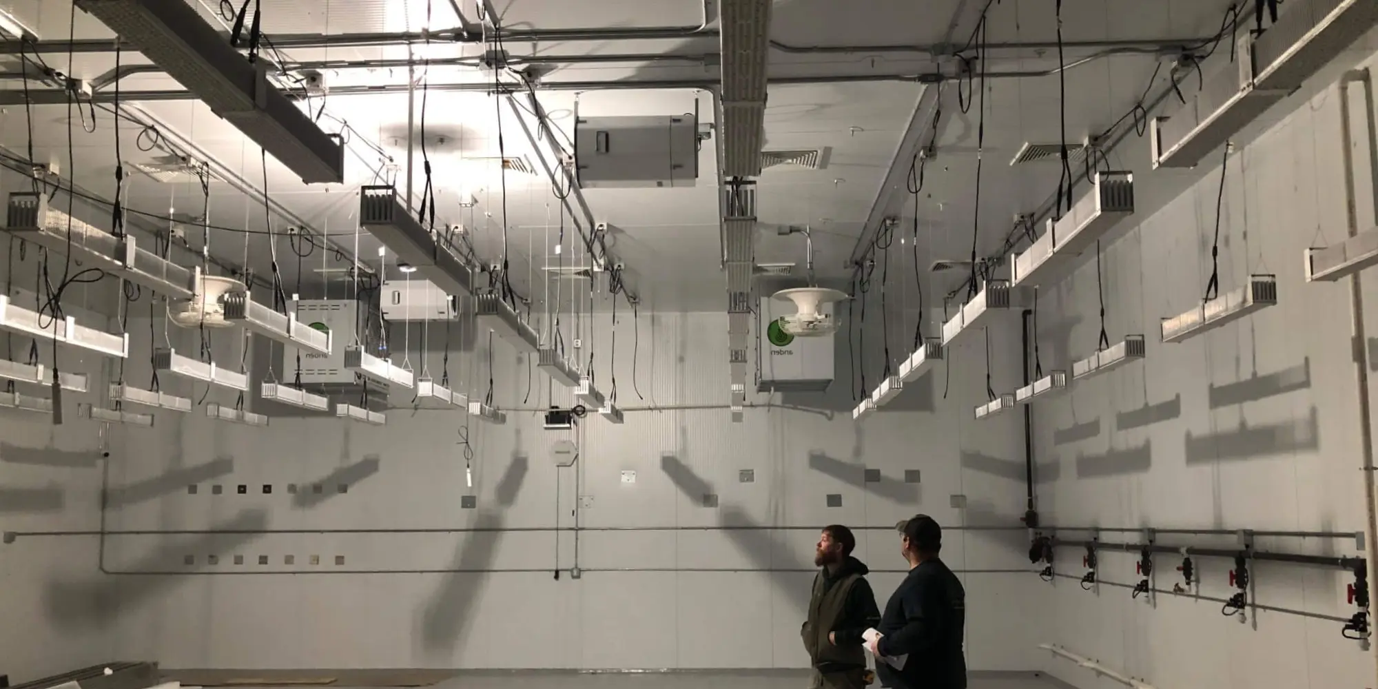 Field Electric Field Electric