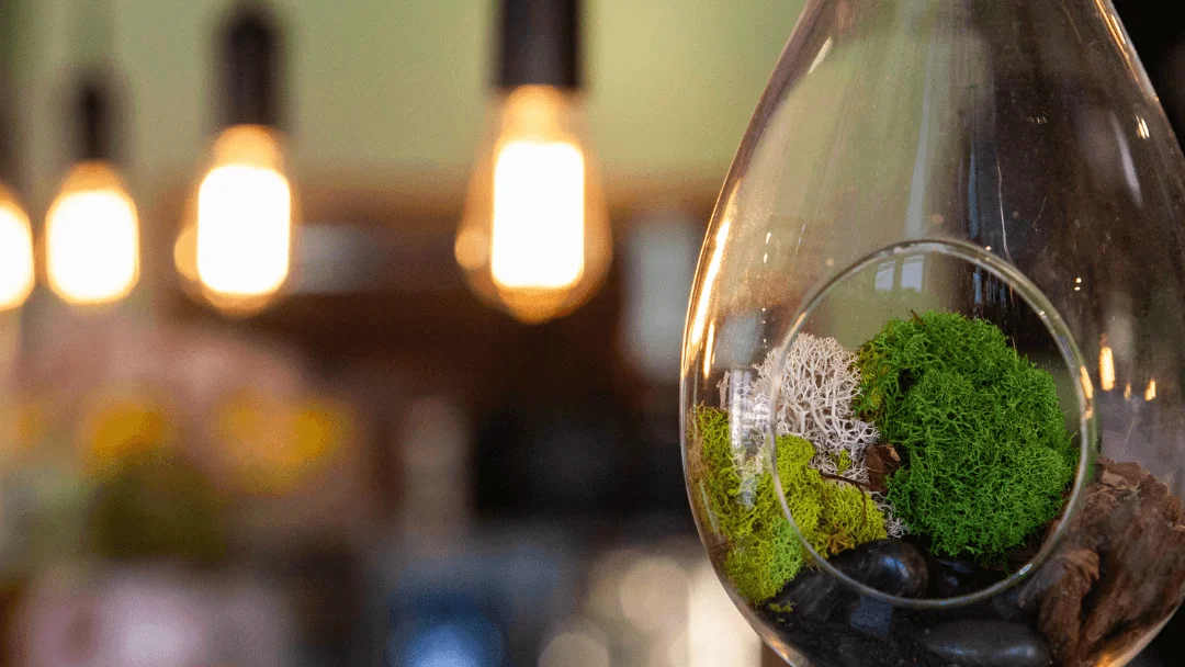 The Benefits of Smart Thermostats for Your Home