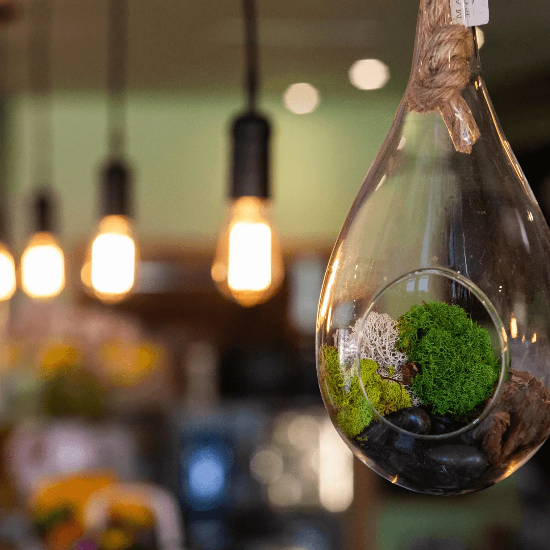 Eco-Friendly Electrical Appliances